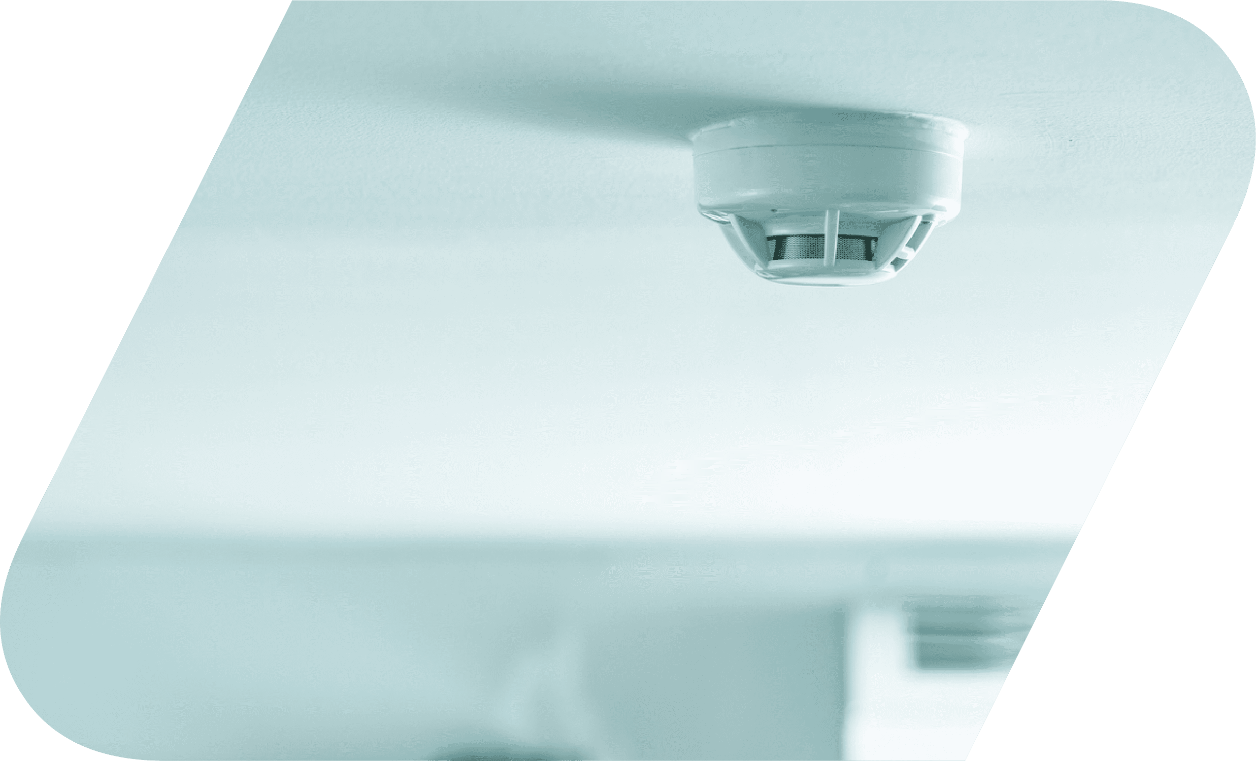 A smoke detector fitted against the ceiling.